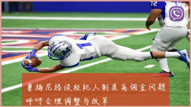 鲁梅尼格谈经纪人制度高佣金问题呼吁合理调整与改革