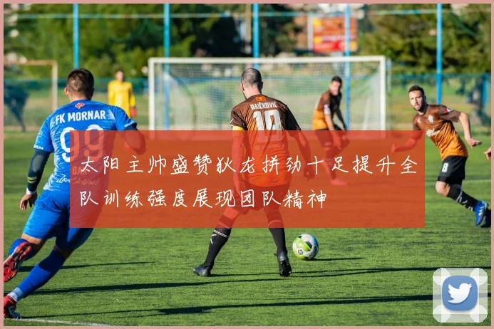 太阳主帅盛赞狄龙拼劲十足提升全队训练强度展现团队精神