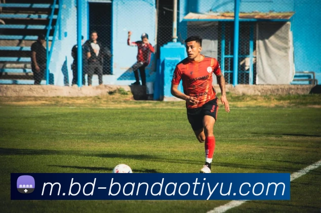 半岛体育服务体系